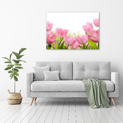 Acrylic wall art Pink tulips