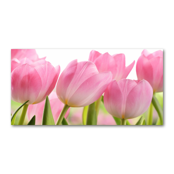 Print on acrylic Pink tulips