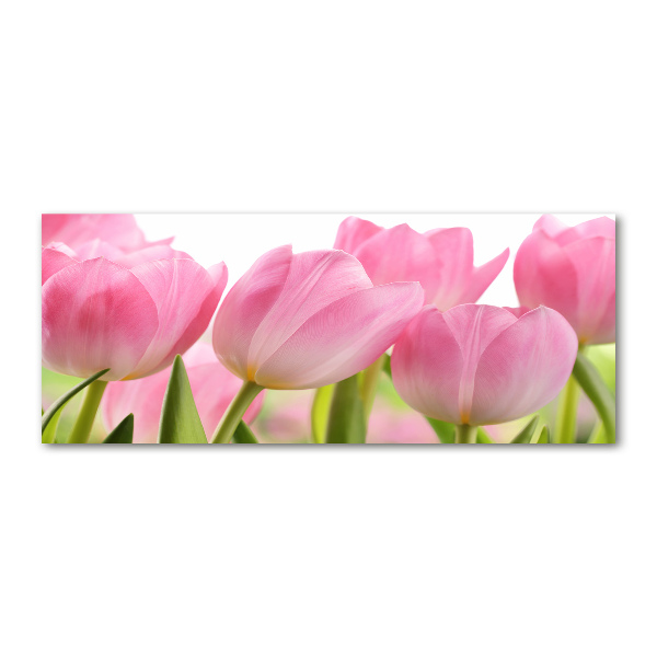 Print on acrylic Pink tulips