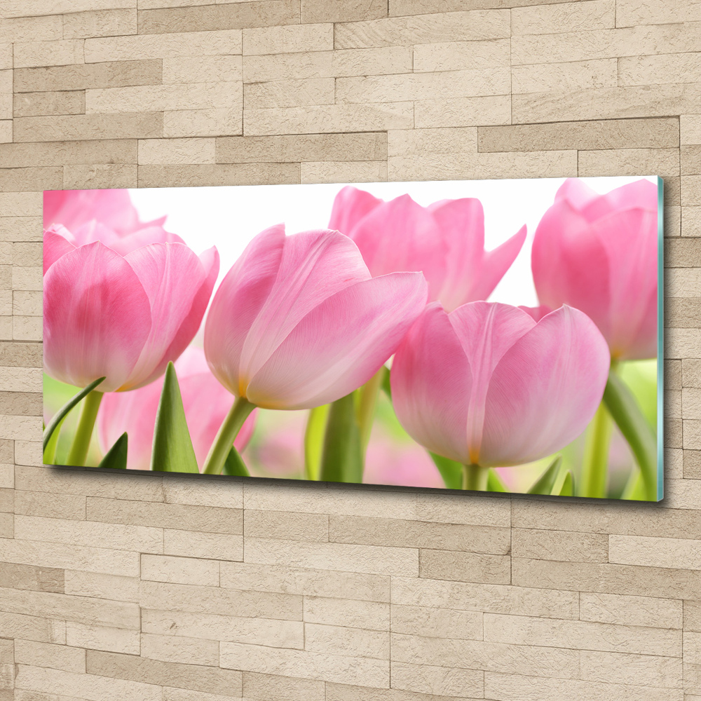 Print on acrylic Pink tulips