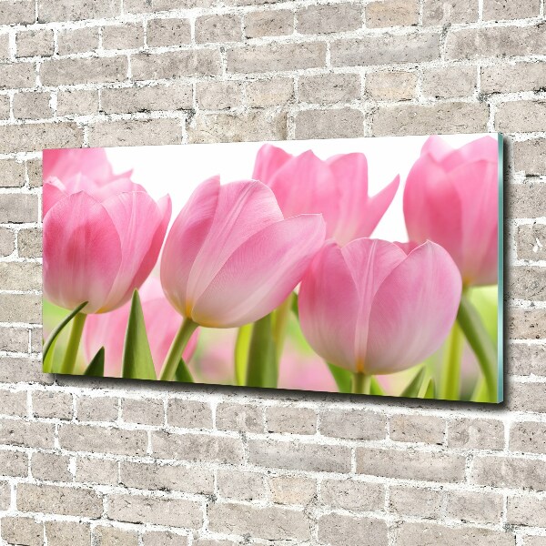 Print on acrylic Pink tulips