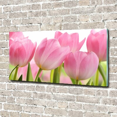 Print on acrylic Pink tulips