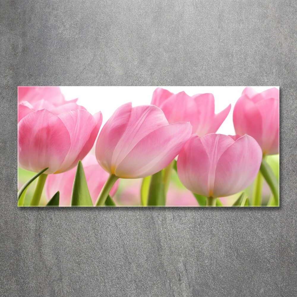 Print on acrylic Pink tulips