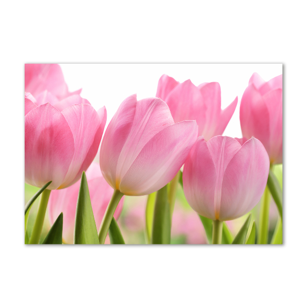 Print on acrylic Pink tulips