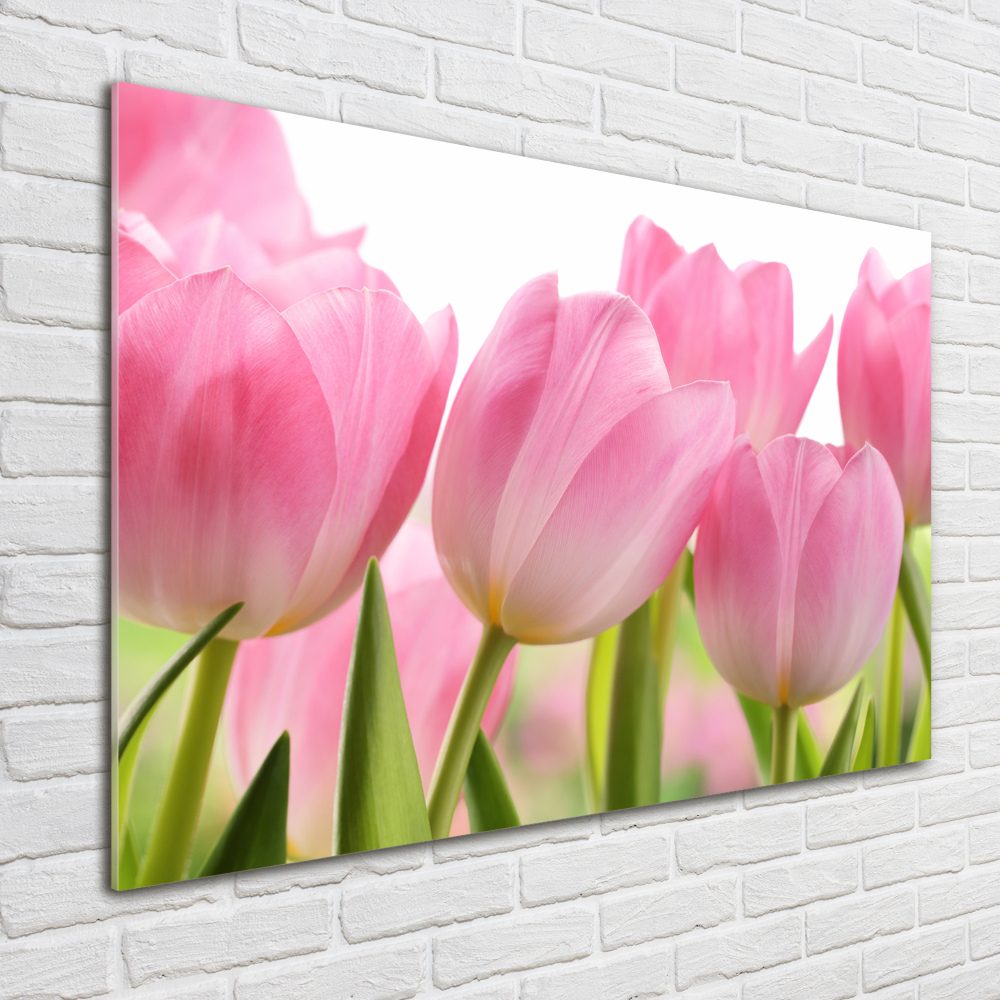 Print on acrylic Pink tulips