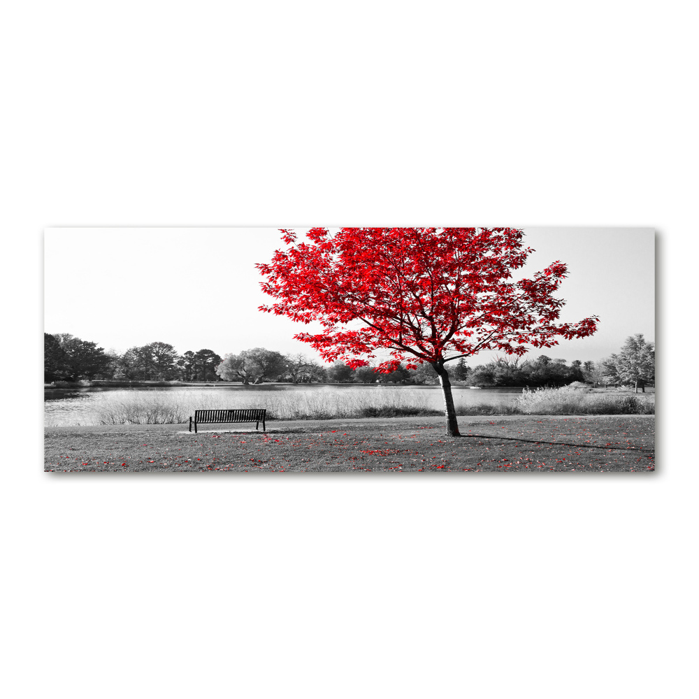 Acrylic print Red tree