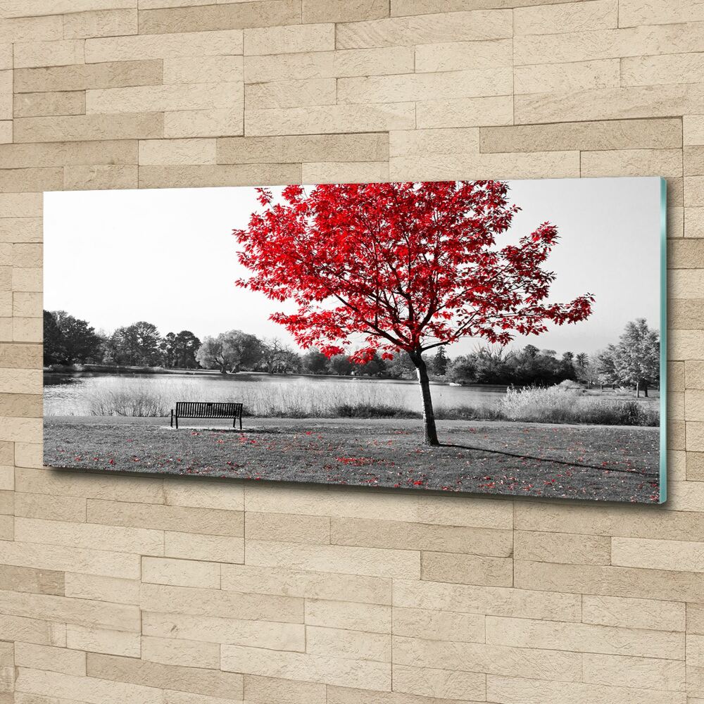 Acrylic print Red tree