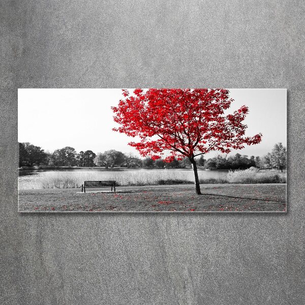 Acrylic print Red tree