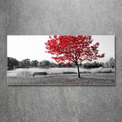 Acrylic print Red tree