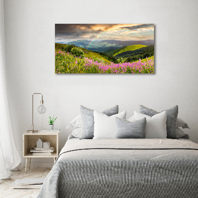 Wall art acrylic Mountain landscape