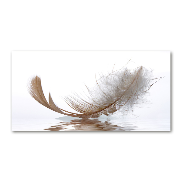 Wall art acrylic Feather on the water