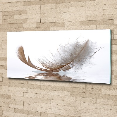 Wall art acrylic Feather on the water