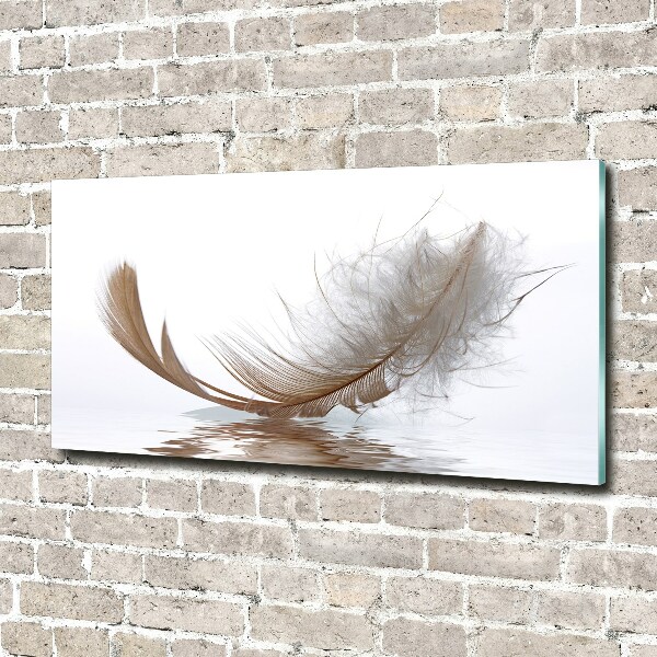 Wall art acrylic Feather on the water