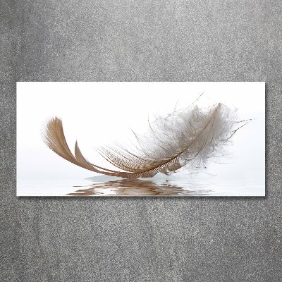 Wall art acrylic Feather on the water