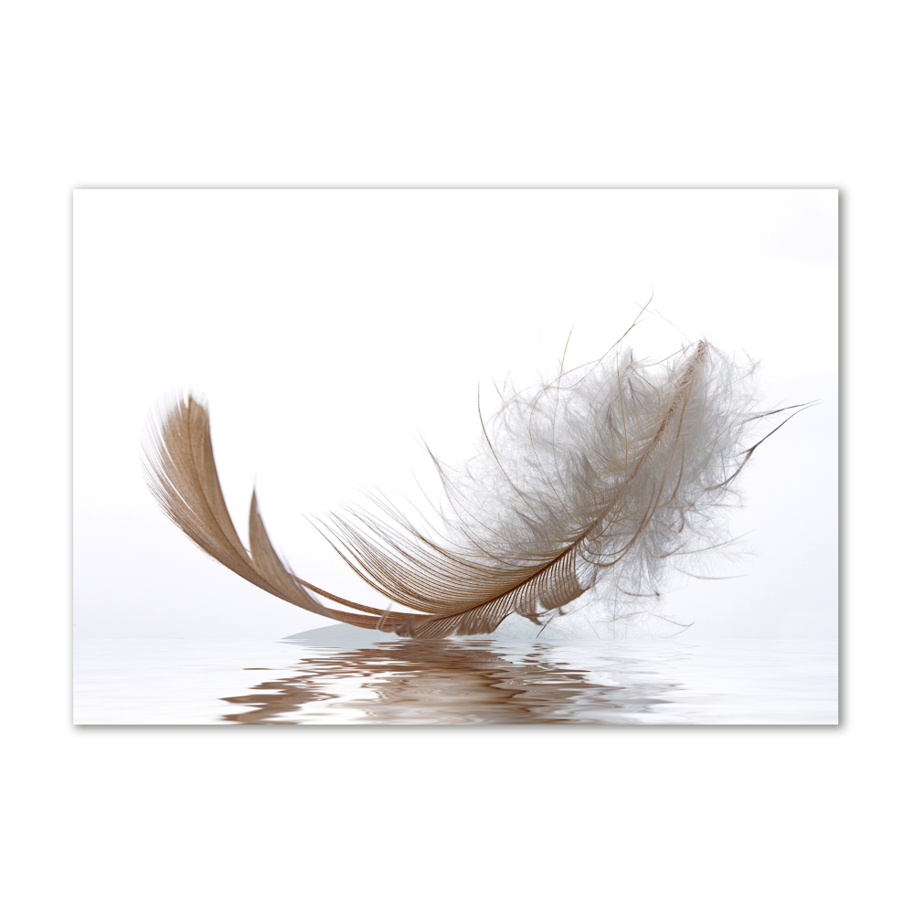 Wall art acrylic Feather on the water