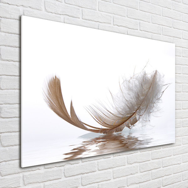 Wall art acrylic Feather on the water