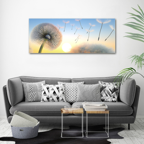 Print on acrylic Dandelion