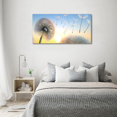 Print on acrylic Dandelion