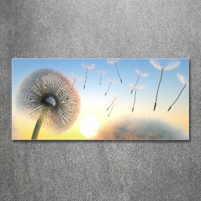 Print on acrylic Dandelion