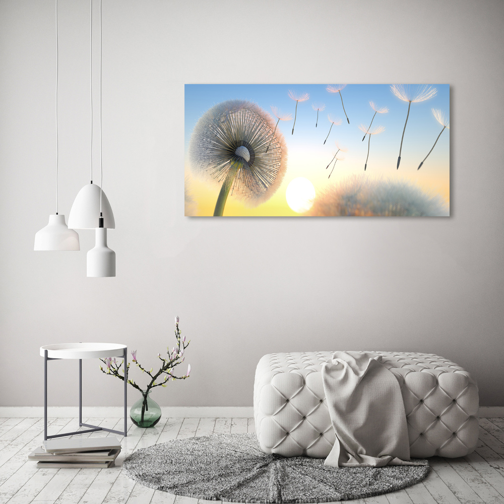 Print on acrylic Dandelion