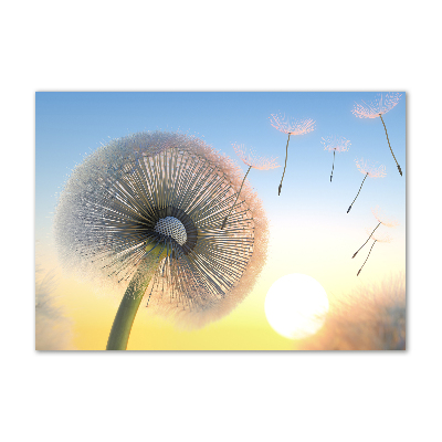 Print on acrylic Dandelion