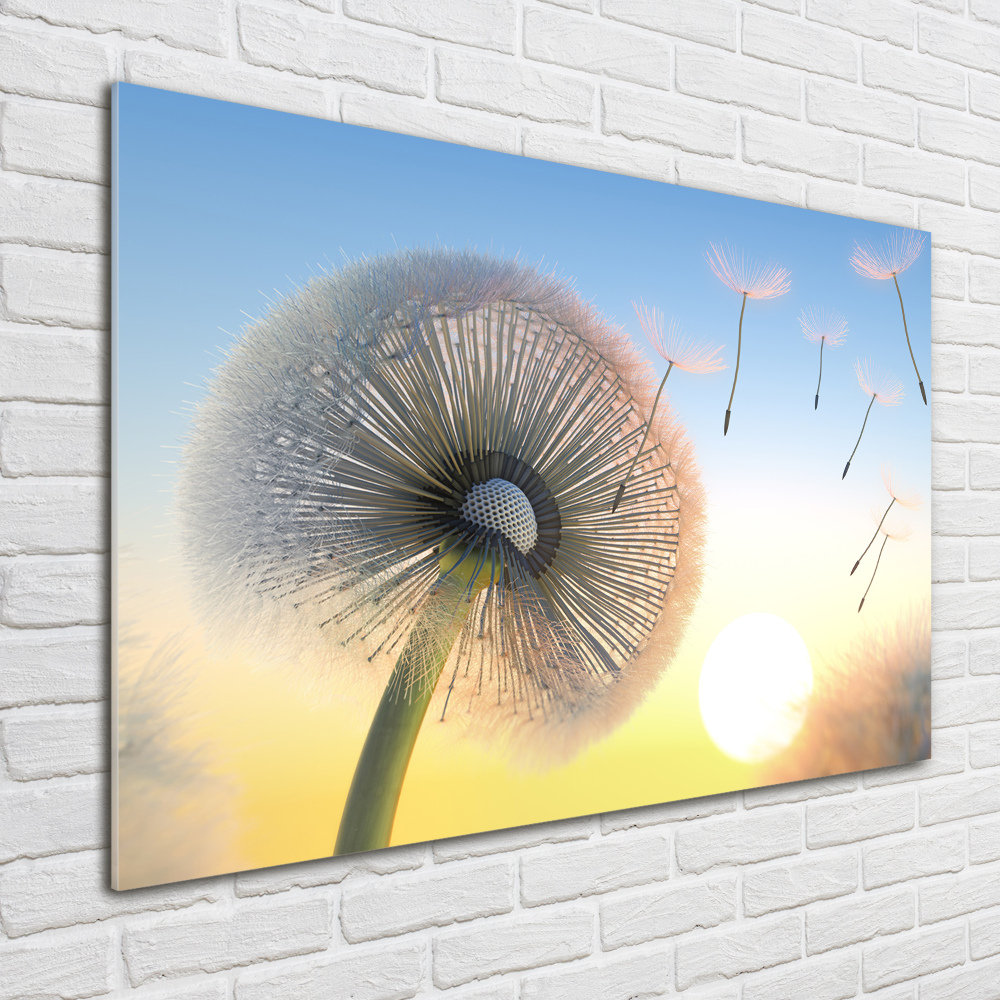 Print on acrylic Dandelion