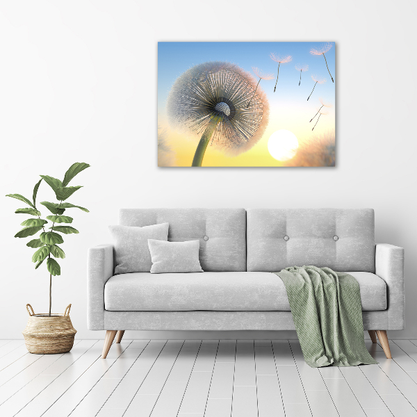 Print on acrylic Dandelion