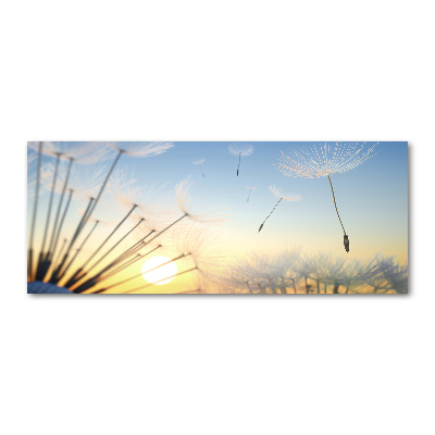 Print on acrylic Dandelion seeds