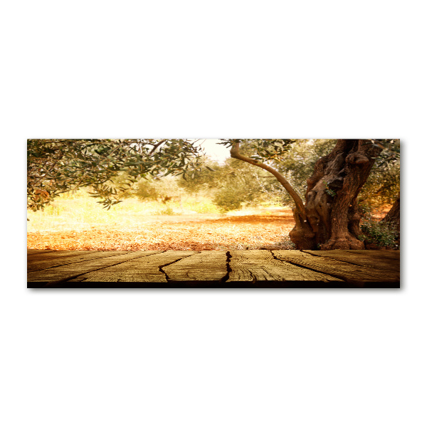 Wall art acrylic Olive tree