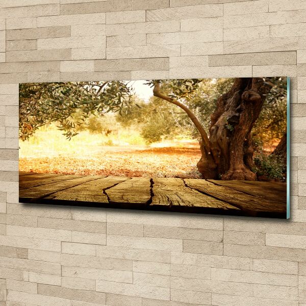 Wall art acrylic Olive tree