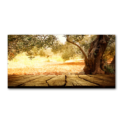 Wall art acrylic Olive tree