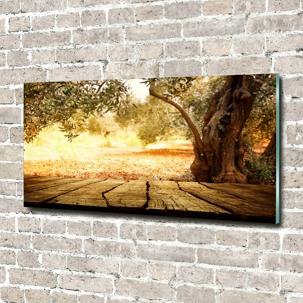 Wall art acrylic Olive tree