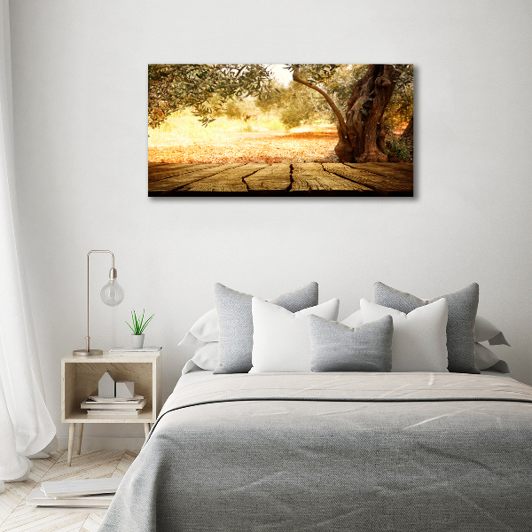 Wall art acrylic Olive tree