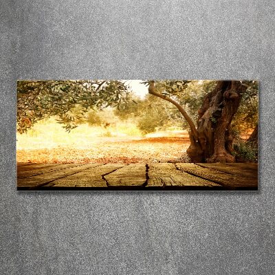 Wall art acrylic Olive tree