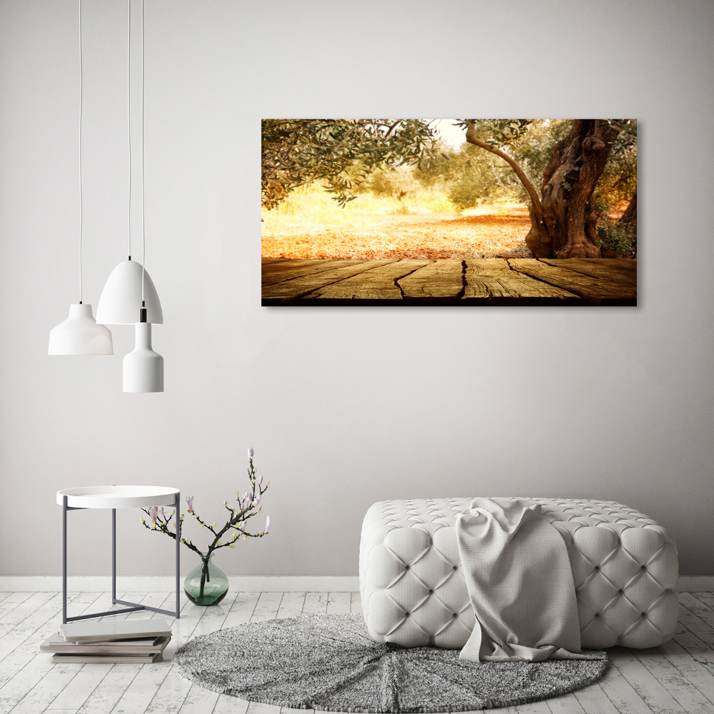 Wall art acrylic Olive tree