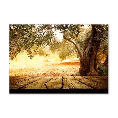 Wall art acrylic Olive tree