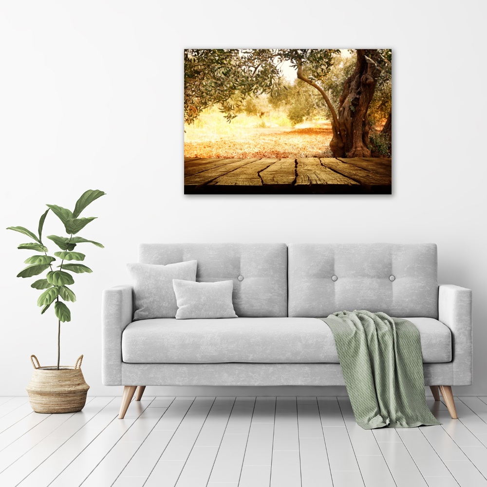 Wall art acrylic Olive tree