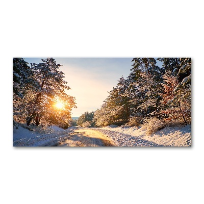 Print on acrylic Road in the forest in winter