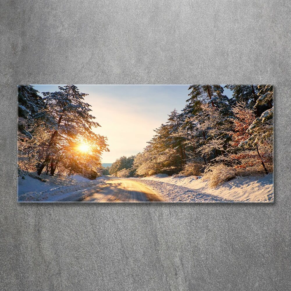 Print on acrylic Road in the forest in winter