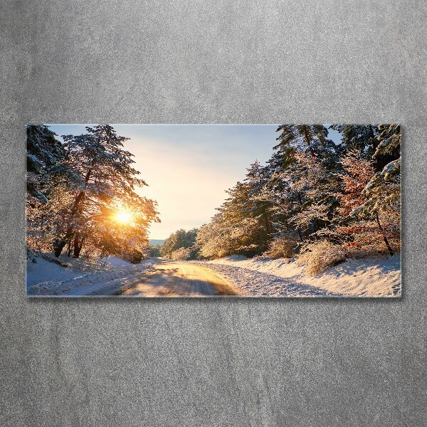 Print on acrylic Road in the forest in winter