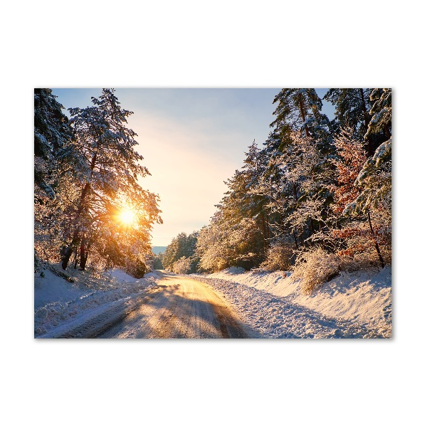 Print on acrylic Road in the forest in winter