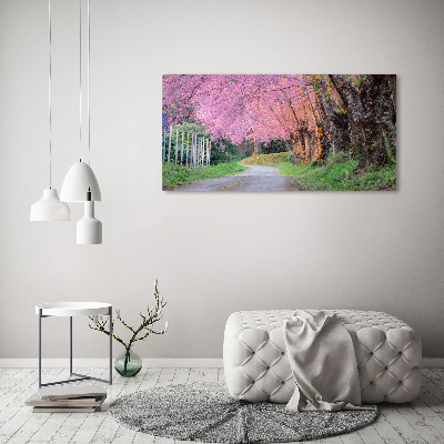 Print on acrylic Cherry blossoms