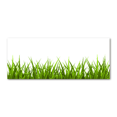 Wall art acrylic Grass