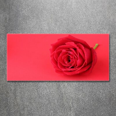 Acrylic print Red rose