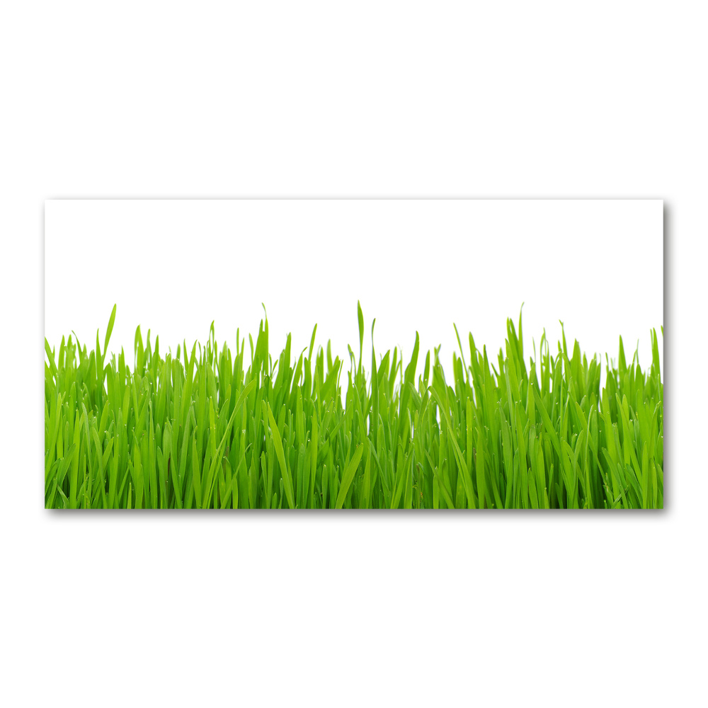 Wall art acrylic Grass