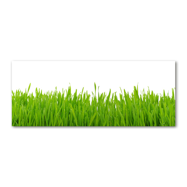 Wall art acrylic Grass