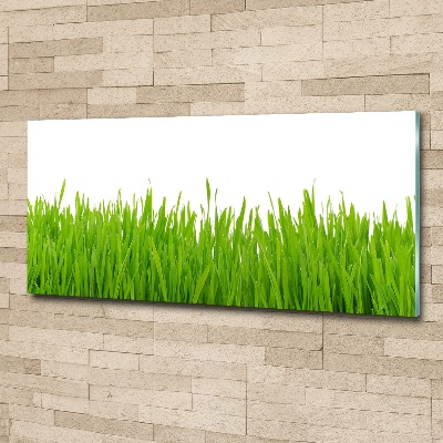 Wall art acrylic Grass