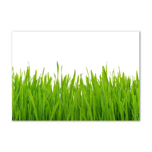 Wall art acrylic Grass