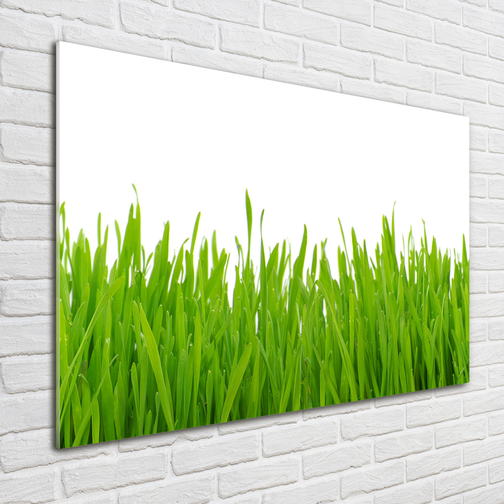 Wall art acrylic Grass