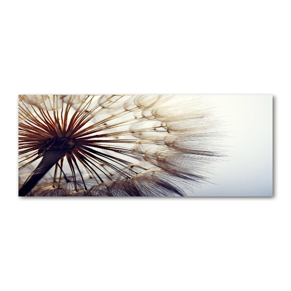 Wall art acrylic Dandelion